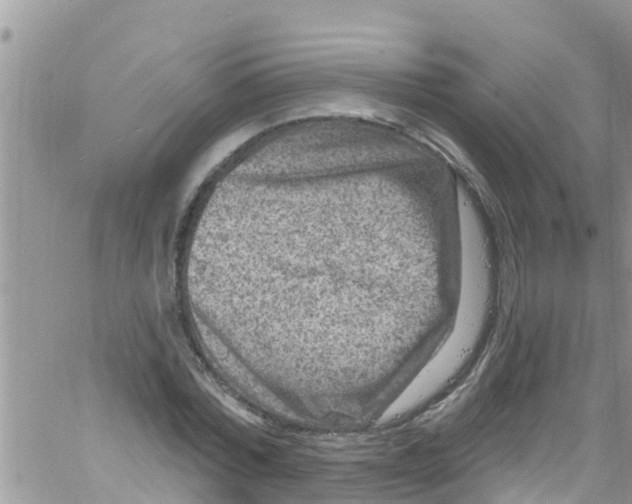 X0000061150780200512091958