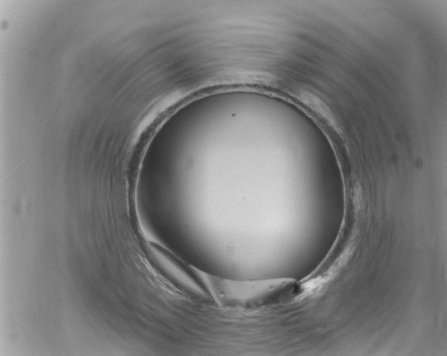 X0000061150781200512091958