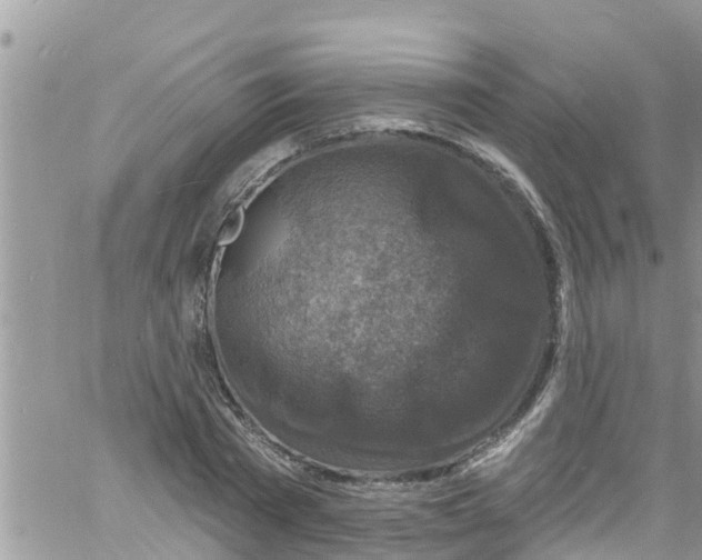 X0000061150785200512091958