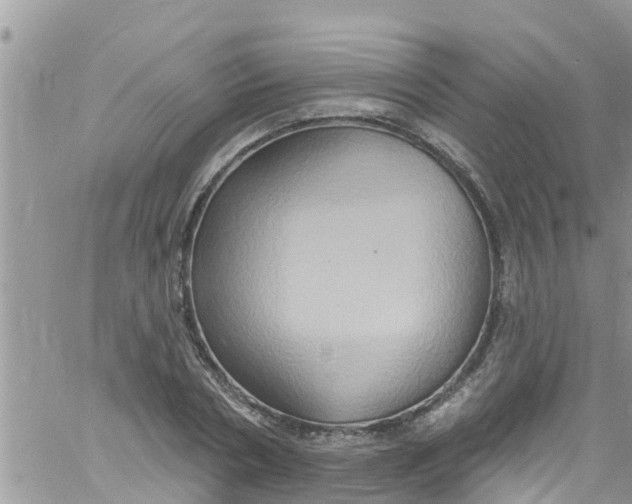 X0000061150786200512091958