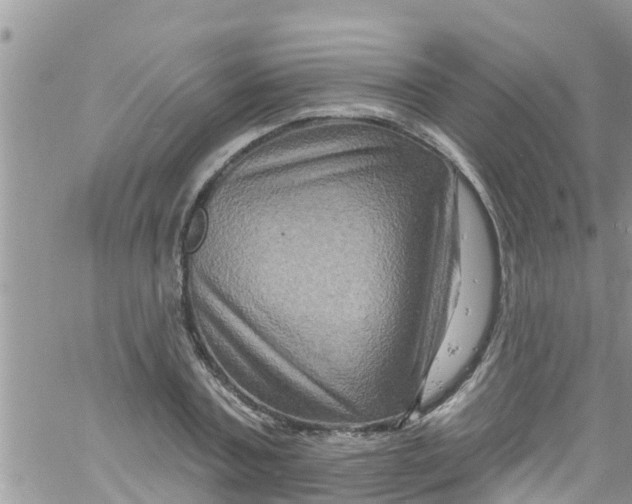 X0000061150787200512091958