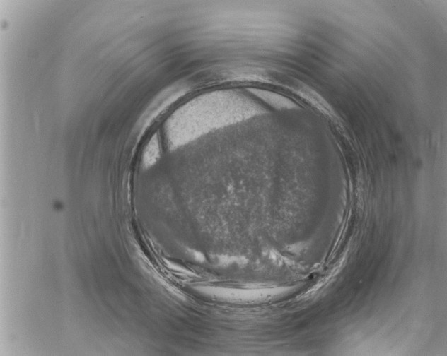 X0000061150790200512091958