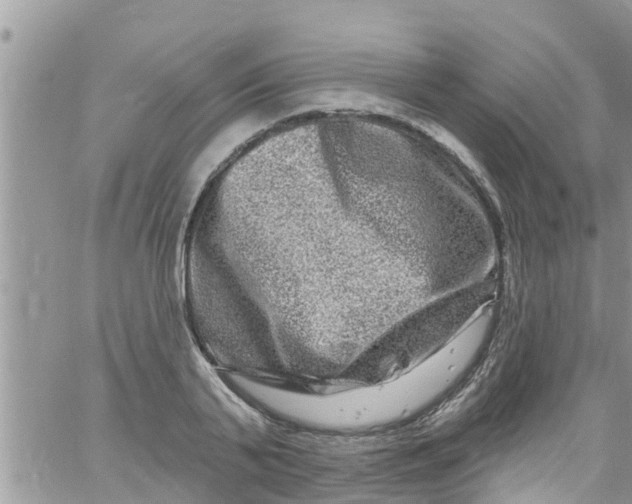 X0000061150791200512091958