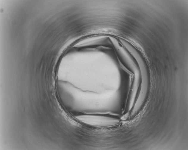 X0000061150792200512091958