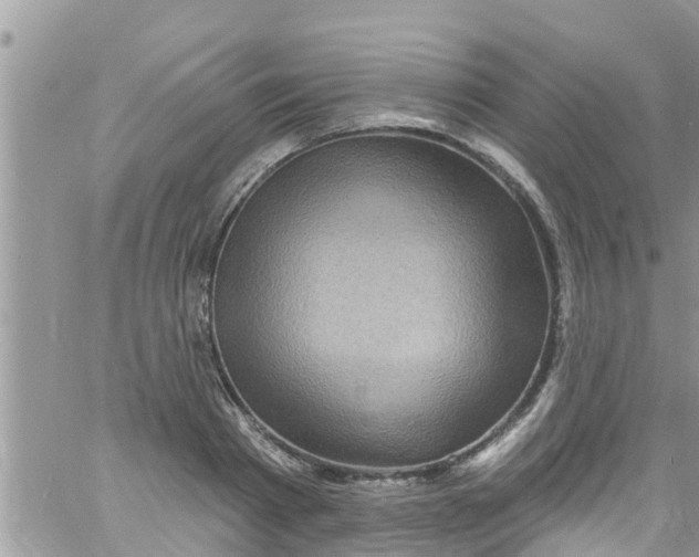 X0000061150793200512091958