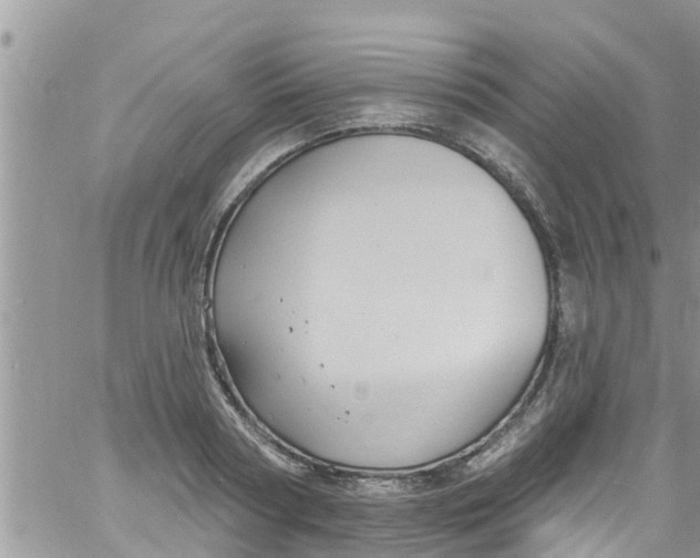 X0000061150794200512091958