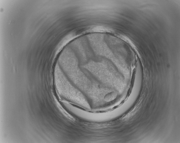 X0000061150795200512091958