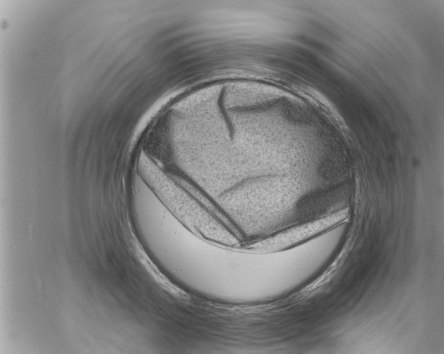 X0000061150796200512091958