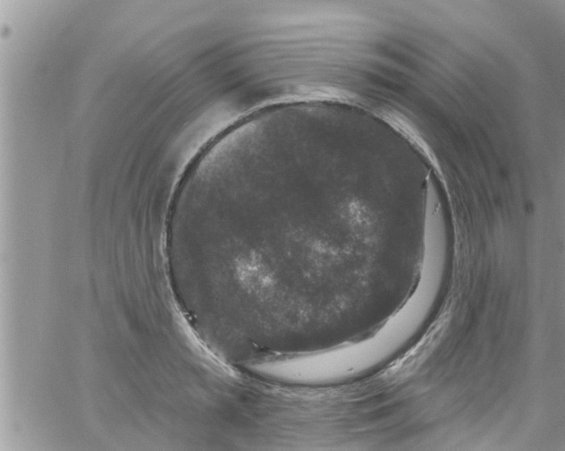 X0000061150797200512091958