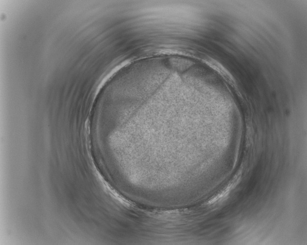 X0000061150798200512091958