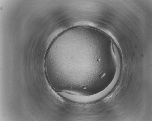 X0000061150799200512091958