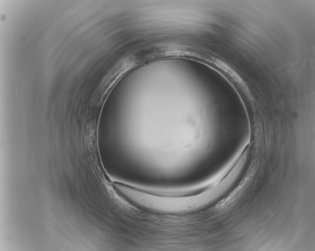 X0000061150801200512091958