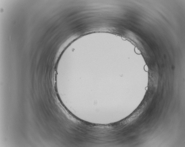 X0000061150804200512091958