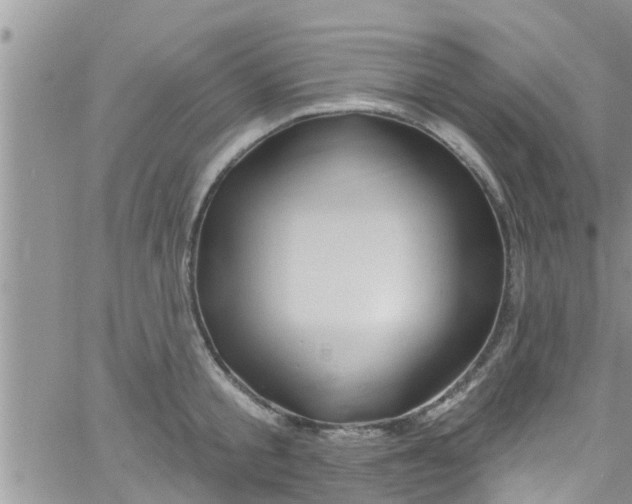 X0000061150805200512091958