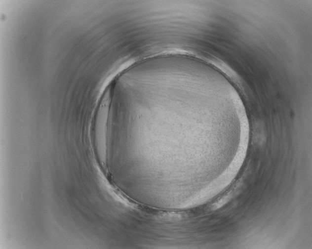 X0000061150806200512091958