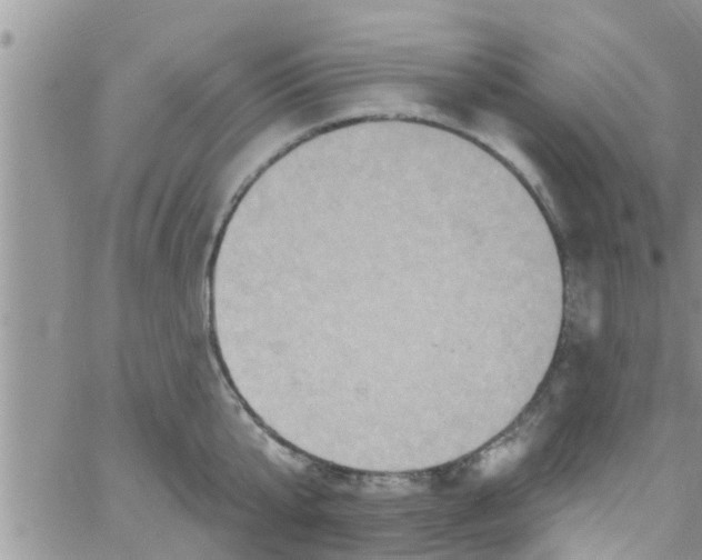 X0000061150807200512091958