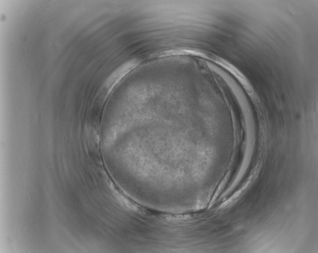 X0000061150809200512091958