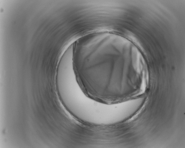 X0000061150810200512091958