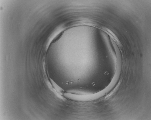 X0000061150812200512091958