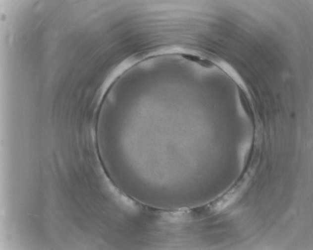 X0000061150813200512091958