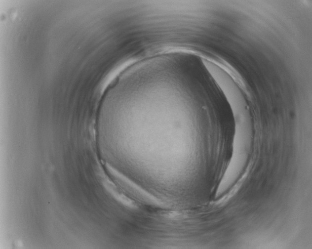 X0000061150814200512091958