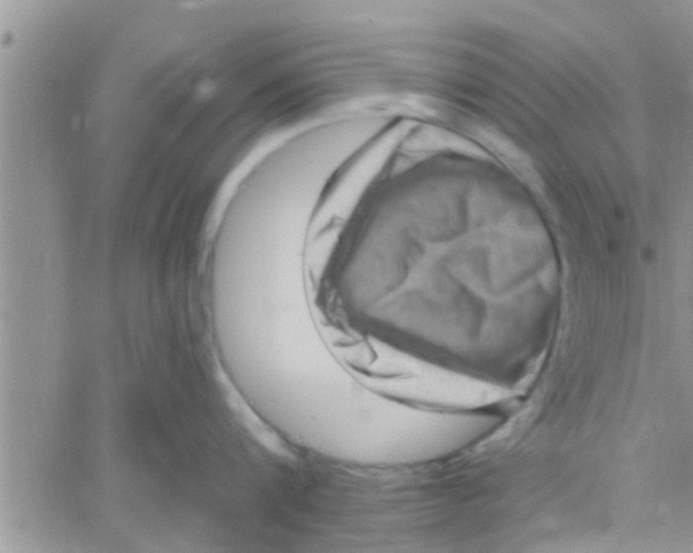 X0000061150816200512091958