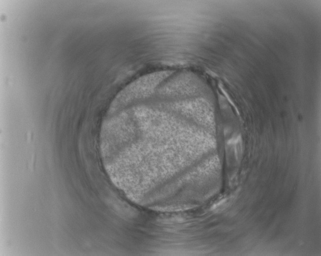 X0000061150817200512091957