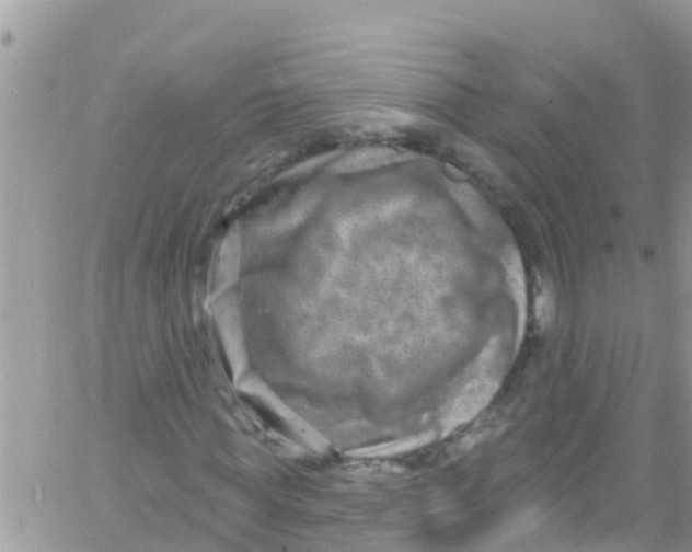 X0000061150819200512091957