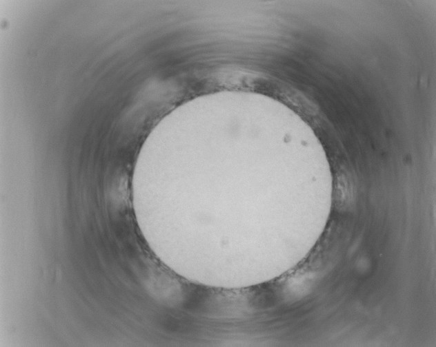 X0000061150820200512091957