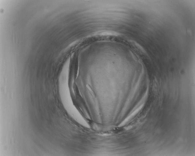 X0000061150821200512091957