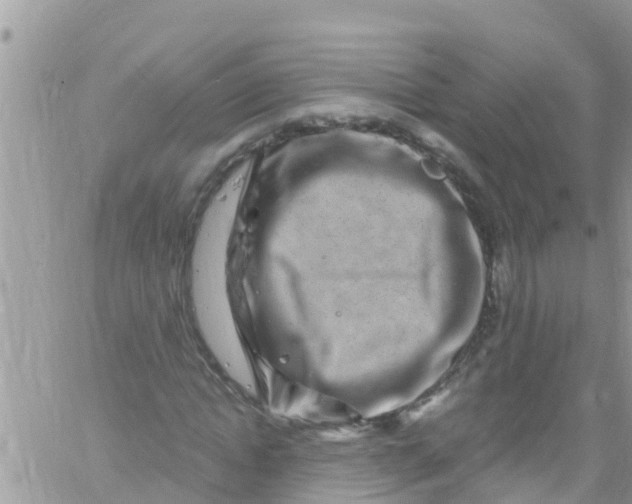 X0000061150822200512091957