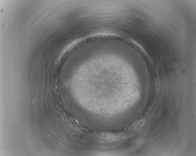 X0000061150823200512091957