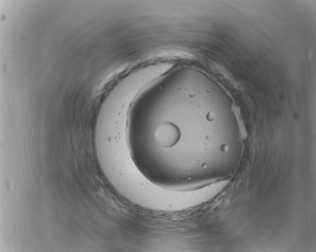 X0000061150824200512091957