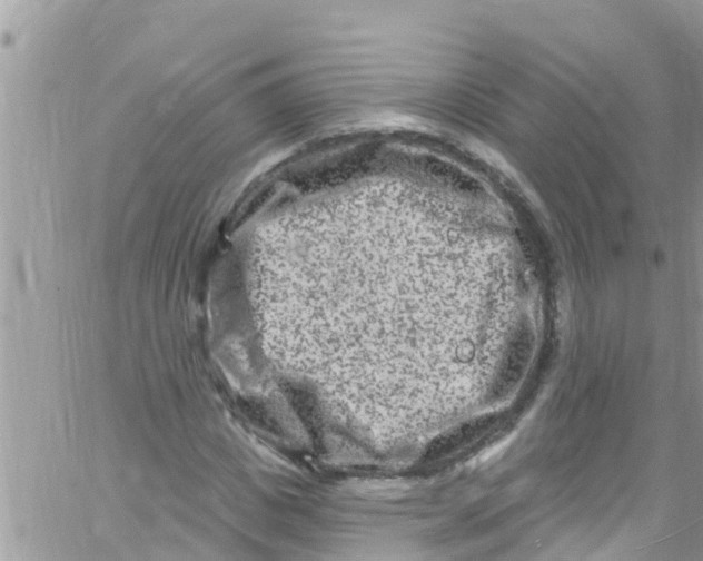 X0000061150825200512091957