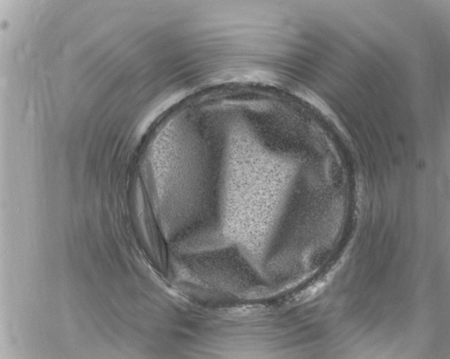 X0000061150826200512091957