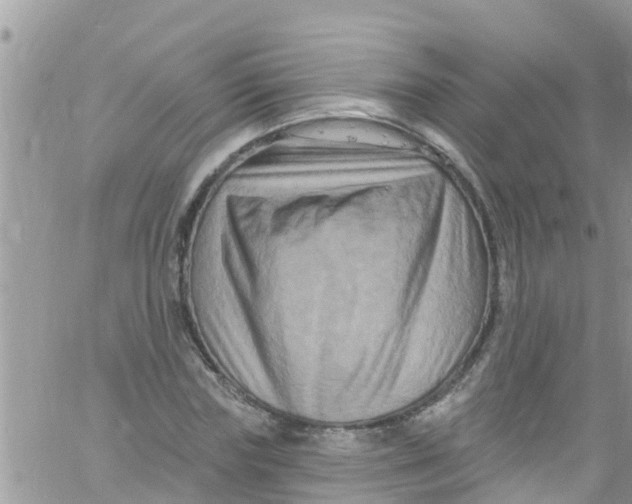 X0000061150827200512091957