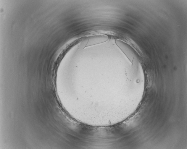 X0000061150828200512091957