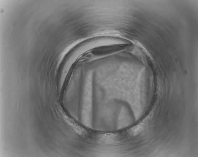 X0000061150830200512091957