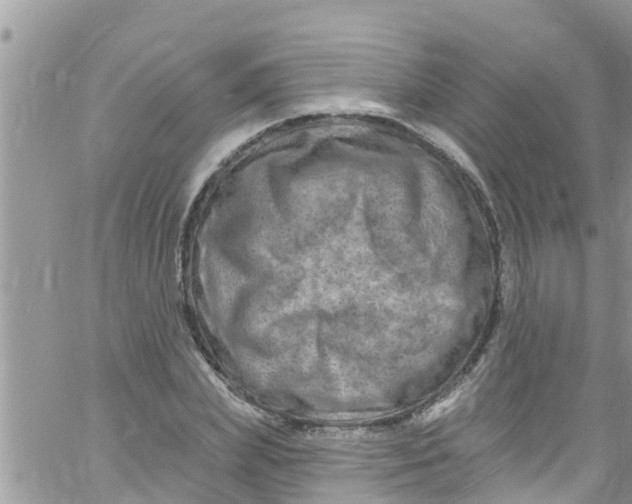 X0000061150831200512091957