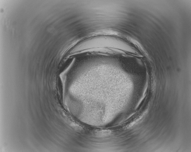 X0000061150833200512091957