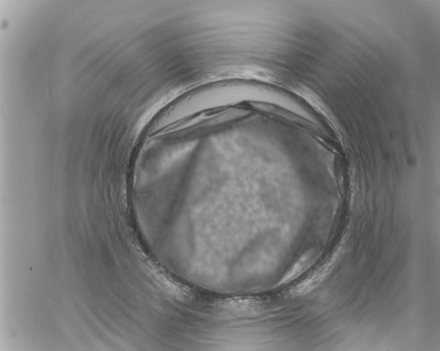 X0000061150834200512091957