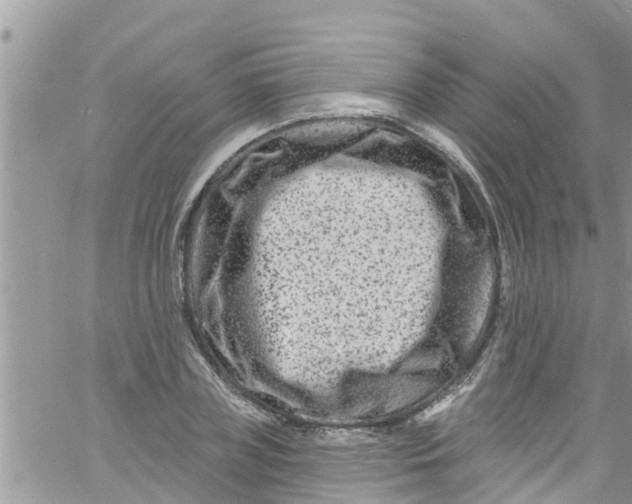 X0000061150835200512091957