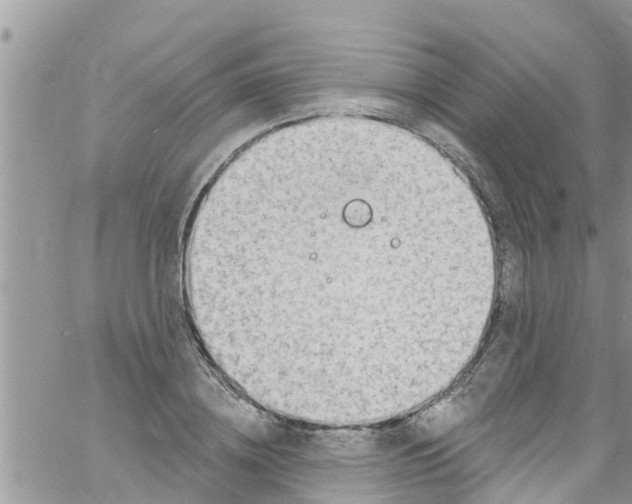 X0000061150836200512091957