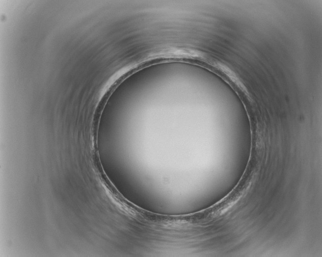 X0000061150837200512091957