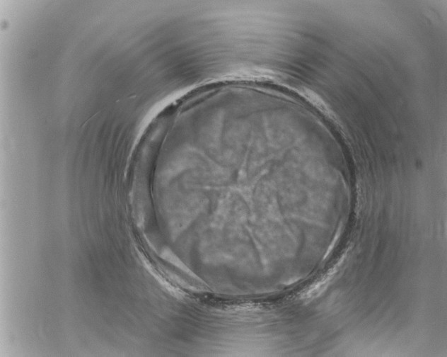 X0000061150838200512091957