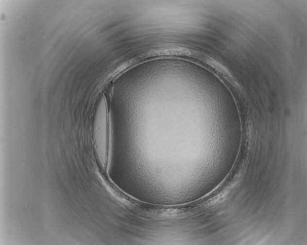 X0000061150841200512091957