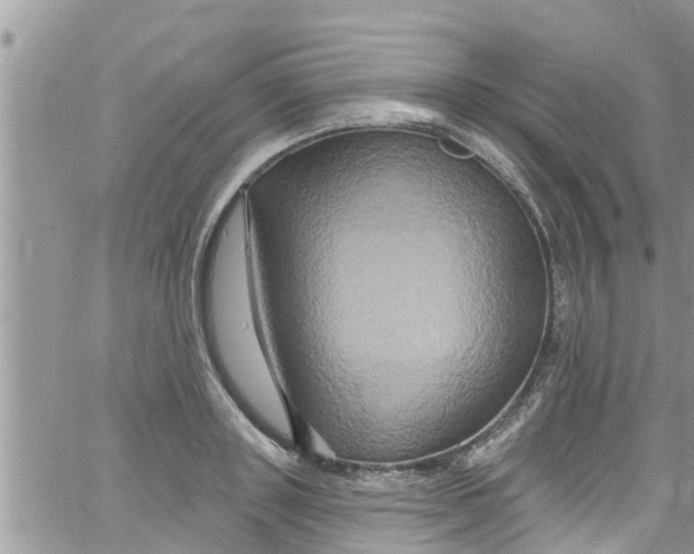 X0000061150843200512091957