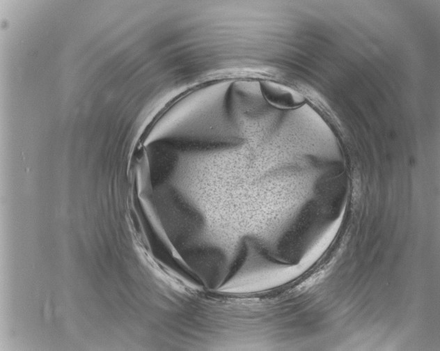 X0000061150844200512091957