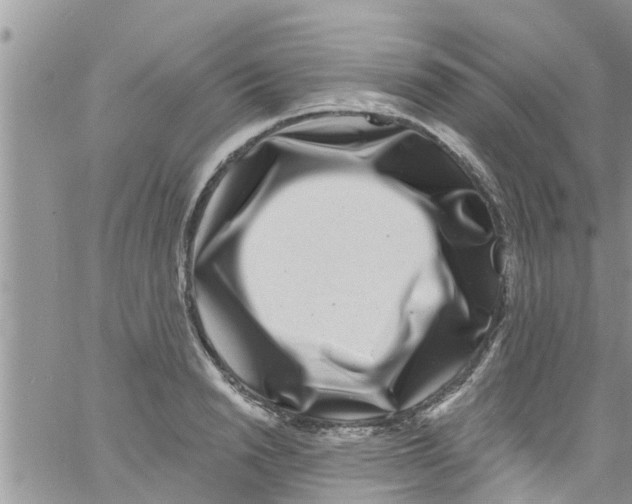 X0000061150846200512091957