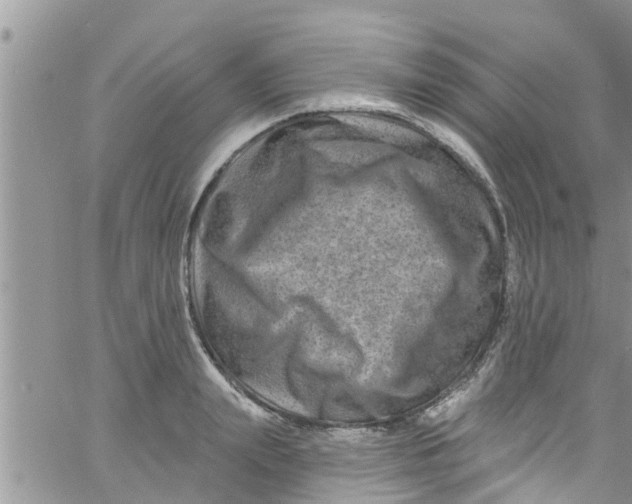 X0000061150847200512091957